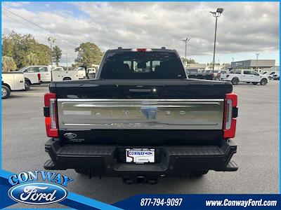 New 2024 Ford F-250 Crew Cab 4x4, Pickup for sale #33473 - photo 1