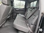 New 2024 Chevrolet Silverado 1500 LTZ Crew Cab 4x4, Pickup for sale #245282 - photo 6