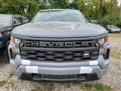 2024 Chevrolet Silverado 1500 Double Cab 4x4, Pickup for sale #245730 - photo 2