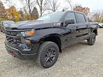 2025 Chevrolet Silverado 1500 Crew Cab 4x4, Pickup for sale #255173 - photo 3