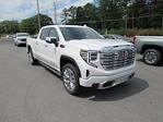 2024 GMC Sierra 1500 Crew Cab 4WD, Pickup for sale #41488 - photo 1