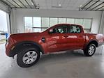 Used 2024 Ford Ranger XL SuperCrew Cab 4x4, Pickup for sale #5634041A - photo 10