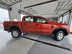 Used 2024 Ford Ranger XL SuperCrew Cab 4x4, Pickup for sale #5634041A - photo 14