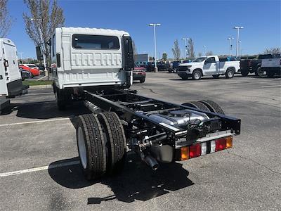 2024 Chevrolet LCF 4500HG Crew Cab 4x2, Cab Chassis for sale #56901076 - photo 2