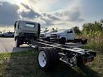 New 2025 Chevrolet LCF 4500HG Regular Cab 4x2, Cab Chassis for sale #3FL1141 - photo 5