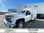 2024 Chevrolet Silverado 3500 Regular Cab 4x4, Reading Panel Service Body Service Truck for sale #284564 - photo 13