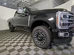 2024 Ford F-250 Crew Cab 4WD, Pickup for sale #I15758 - photo 11