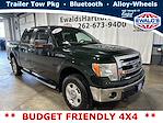 2013 Ford F-150 SuperCrew Cab 4WD, Pickup for sale #H27553B - photo 4