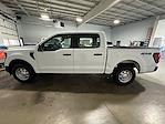 2024 Ford F-150 SuperCrew Cab 4WD, Pickup for sale #HH27797 - photo 7
