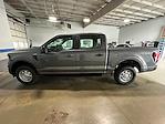 New 2024 Ford F-150 XL SuperCrew Cab 4WD, Pickup for sale #HH28481 - photo 6