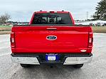 2023 Ford F-150 SuperCrew Cab 4x4, Pickup for sale #573921 - photo 14