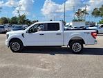 2023 Ford F-150 SuperCrew Cab 4WD, Pickup for sale #24F747B - photo 6