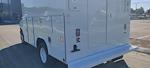 New 2025 Ford E-350 Base RWD, Reading Service Utility Van for sale #25F058 - photo 6