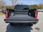 2023 Ford F-350 Crew Cab SRW 4x4, Pickup for sale #23T1831A - photo 14