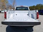 2024 Ford F-150 Regular Cab 4x2, Pickup for sale #24T545 - photo 13