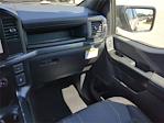 2024 Ford F-150 SuperCrew Cab 4x4, Pickup for sale #24T639 - photo 17