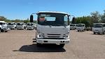 2024 Isuzu NRR Regular Cab 4x2, Cab Chassis for sale #R7306771 - photo 4