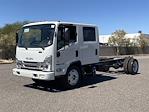New 2024 Isuzu NQR Crew Cab 4x2, Cab Chassis for sale #R7900566 - photo 3
