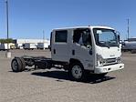 New 2024 Isuzu NQR Crew Cab 4x2, Cab Chassis for sale #R7900566 - photo 8