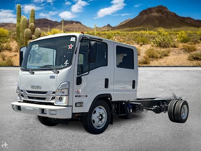 2024 Isuzu NQR Crew Cab 4x2, Cab Chassis for sale #R7900577 - photo 1