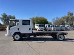 New 2024 Isuzu NQR Crew Cab 4x2, Cab Chassis for sale #R7901209 - photo 4