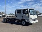New 2024 Isuzu NQR Crew Cab 4x2, Cab Chassis for sale #R7901209 - photo 8