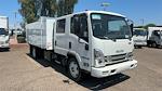 New 2024 Isuzu NQR Crew Cab 4x2, Cab Chassis for sale #R7901731 - photo 4