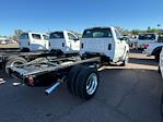 2024 Chevrolet Silverado 5500 Regular Cab DRW 4x2, Cab Chassis for sale #RH418867 - photo 5