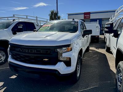 2024 Chevrolet Silverado 1500 Double Cab 4x2, Pickup for sale #RZ282434 - photo 1