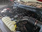 2023 Ford F-150 SuperCrew Cab 4x4, Pickup #PFA85607 - photo 12