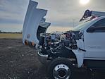 2024 Chevrolet Silverado 6500 Regular Cab DRW 4WD, Knapheide KMT Mechanics Body for sale #2474861 - photo 28