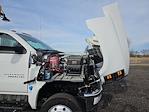 2024 Chevrolet Silverado 6500 Regular Cab DRW 4WD, Knapheide KMT Mechanics Body for sale #2474861 - photo 29