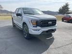 2023 Ford F-150 SuperCrew Cab 4WD, Pickup for sale #2308868 - photo 3