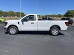 New 2024 Ford F-150 XL Regular Cab RWD, Pickup for sale #2405551 - photo 8