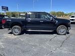 New 2024 Ford F-150 XLT SuperCrew Cab 4WD, Pickup for sale #2420776 - photo 11