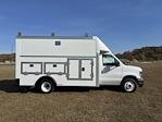 New 2025 Ford E-350 RWD, Service Utility Van for sale #2520972 - photo 3