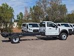 2024 Ford F-450 Regular Cab DRW 4x2, Cab Chassis for sale #REE63894 - photo 4