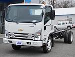 New 2024 Chevrolet LCF 4500HG Regular Cab 4x2, Cab Chassis for sale #30421 - photo 8
