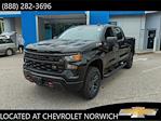 New 2024 Chevrolet Silverado 1500 Custom Crew Cab 4WD, Pickup for sale #J8691 - photo 1