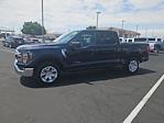 2023 Ford F-150 SuperCrew Cab RWD, Pickup for sale #30762 - photo 6