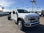 New 2024 Ford F-550 XL Crew Cab RWD, Cab Chassis for sale #F24316 - photo 1