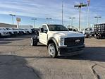 New 2024 Ford F-450 XL Regular Cab RWD, Cab Chassis for sale #G240079 - photo 1