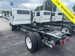 New 2024 Chevrolet LCF 4500HG Crew Cab 4x2, Cab Chassis for sale #C21399 - photo 2