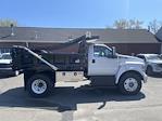 New 2025 Ford F-650 Regular Cab RWD, Crysteel E-Tipper Dump Truck for sale #A7002 - photo 22