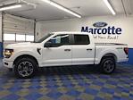 2024 Ford F-150 SuperCrew Cab 4WD, Pickup for sale #Z7420 - photo 4