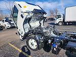 New 2024 Chevrolet LCF 5500HD Work Truck Regular Cab RWD, Cab Chassis for sale #102605 - photo 8