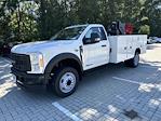 New 2023 Ford F-450 Regular Cab RWD, 11' Knapheide Steel Service Body Service Truck for sale #CB99210 - photo 1