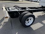 2024 Chevrolet LCF 4500HG Crew Cab RWD, Cab Chassis for sale #9CC08499 - photo 23