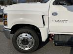 2023 Chevrolet Silverado 5500 Regular Cab DRW RWD, Knapheide Drop Side Dump Truck for sale #9CC59609 - photo 15