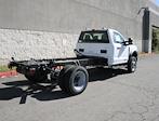 2024 Ford F-450 Regular Cab DRW 4x2, Cab Chassis for sale #CF424222 - photo 2